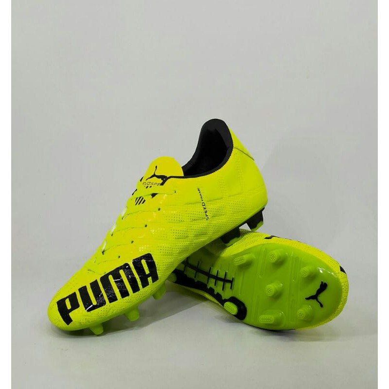 PUMA EVO SPEED